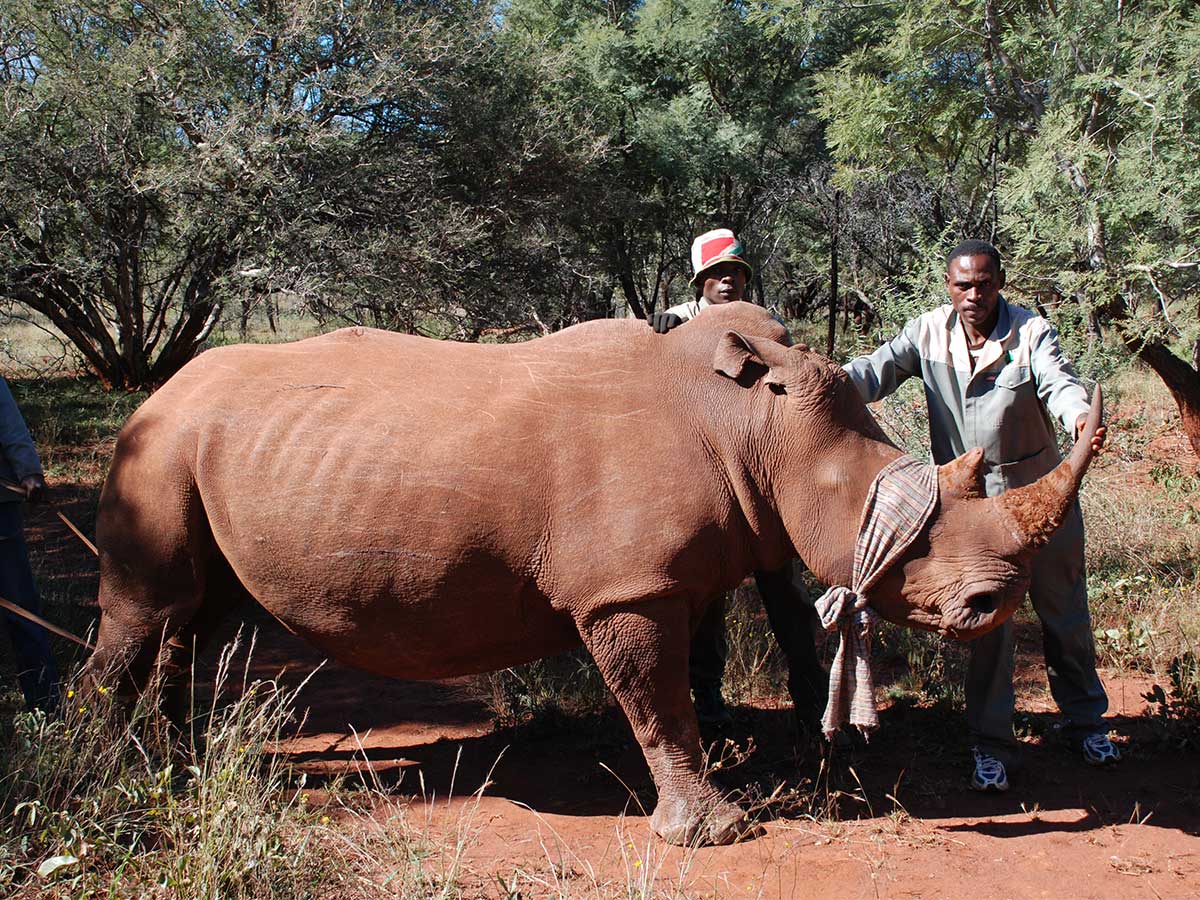 Black Owned Wildlife Management
